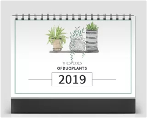 2019年創(chuàng)意簡約小清新桌面擺件 月歷臺歷 工作日歷 翻頁臺歷本